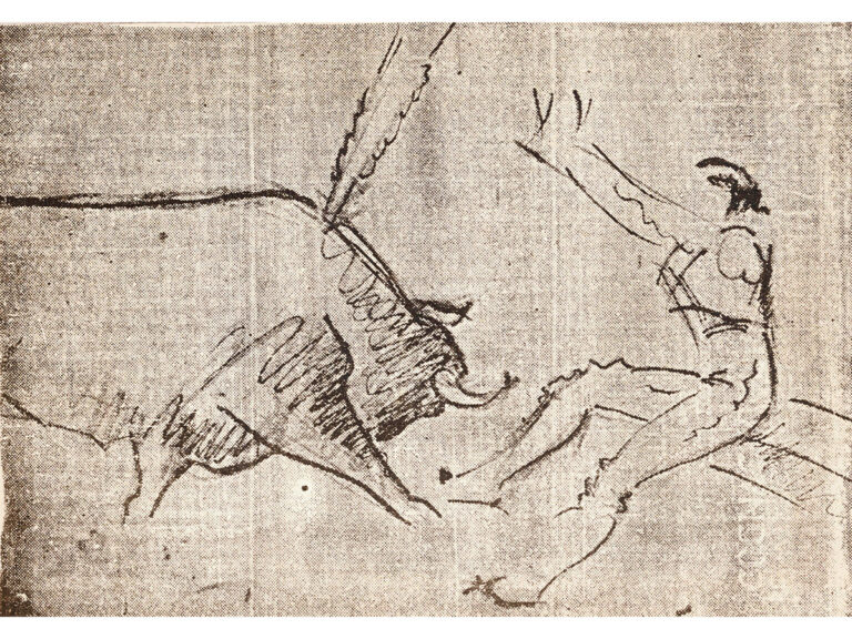 Torero (5)
