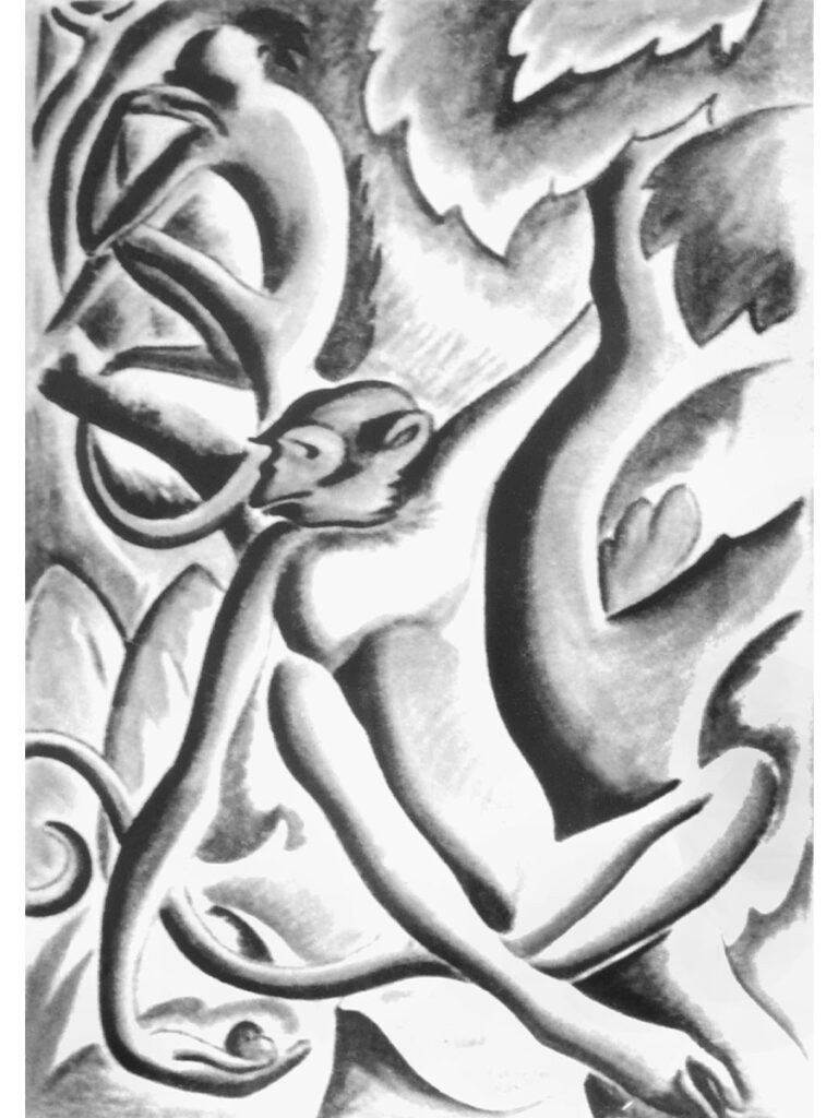 1940, Exposición Amazónica (7)